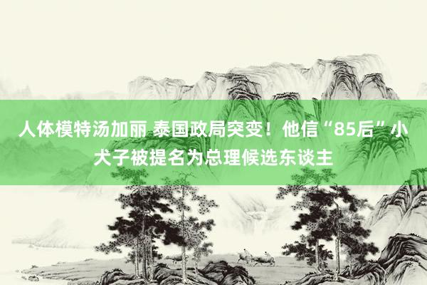 人体模特汤加丽 泰国政局突变！他信“85后”小犬子被提名为总理候选东谈主