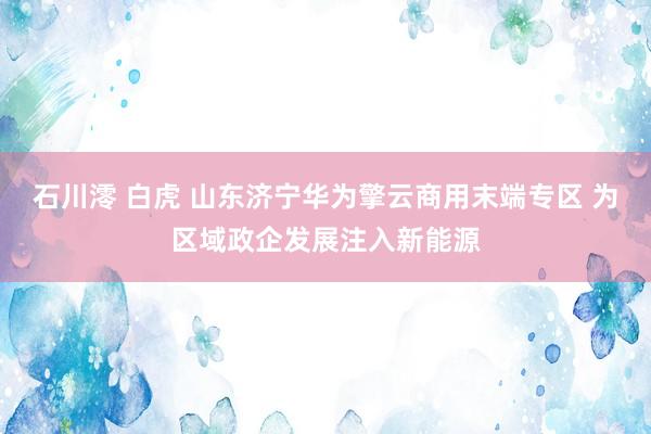 石川澪 白虎 山东济宁华为擎云商用末端专区 为区域政企发展注入新能源