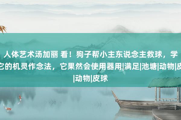 人体艺术汤加丽 看！狗子帮小主东说念主救球，学学它的机灵作念法，它果然会使用器用|满足|池塘|动物|皮球